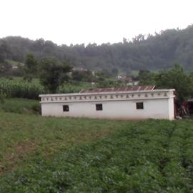 The Wonders of Nature (Las Maravillas de la Naturaleza)